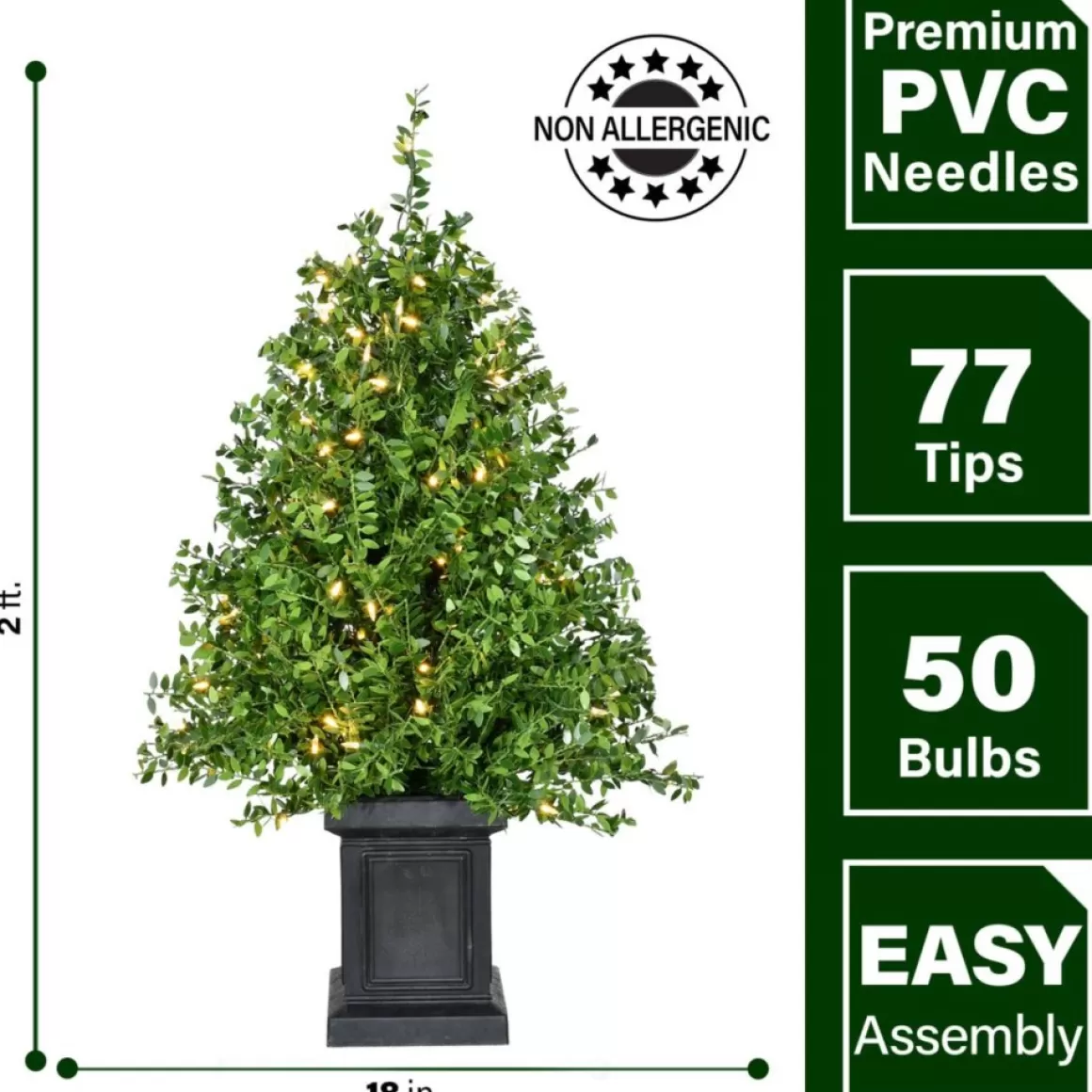 Fraser Hill Farm Boxwood Porch Tree In Black Pot With Warm White Lights, Set Of 2
