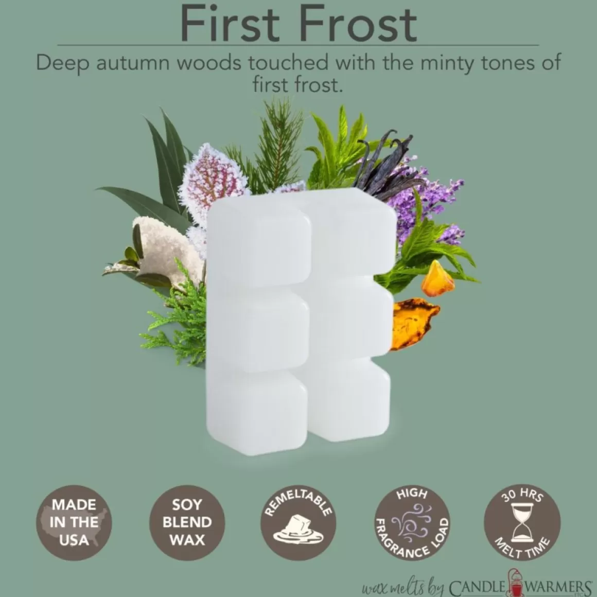 Candle Warmers Etc. 2.5 Oz. Wax Melts - Balsam Fir & First Frost