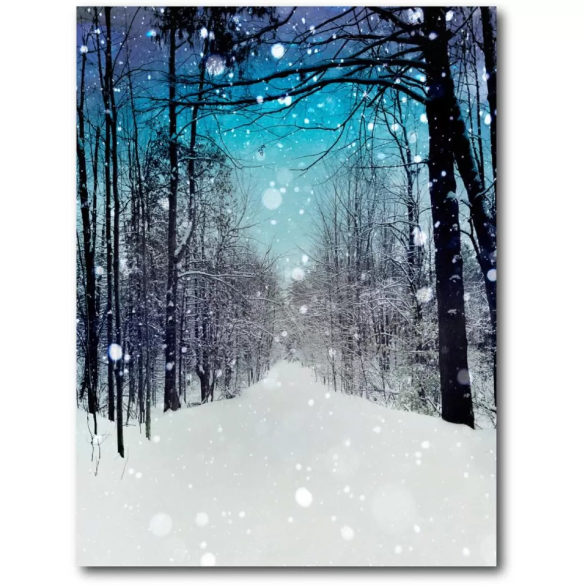 Courtside Market Winter Wonderland Canvas Wall Art