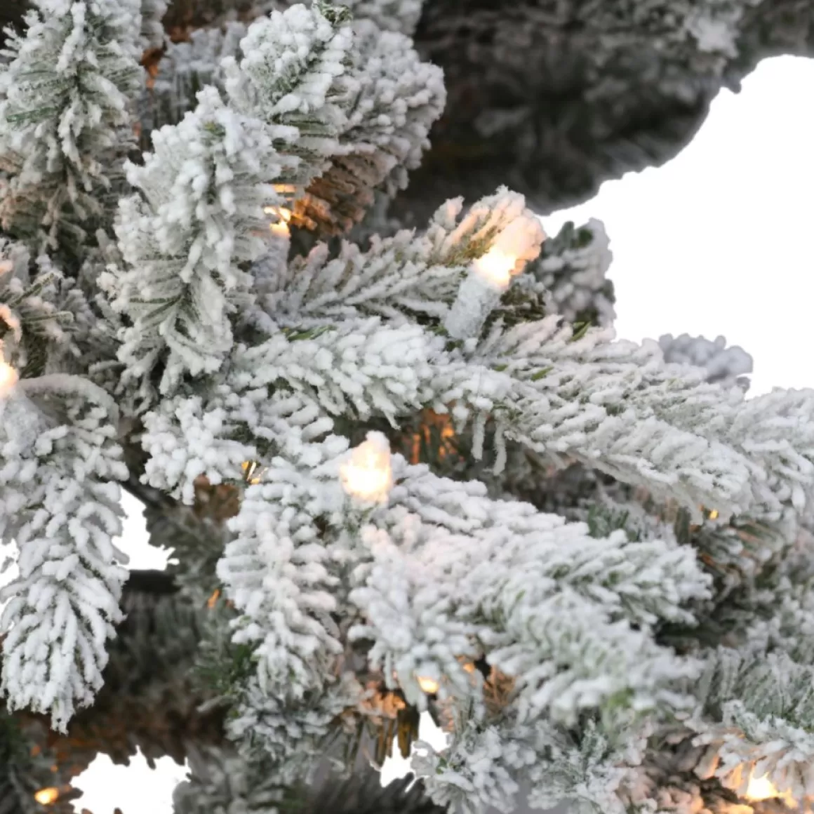 Puelo International Puleo International 6.5' Prelit Flocked Utah Fir Tree 350 Clear Lights